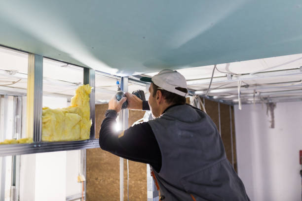 Types of Insulation We Offer in Woodlands, CA